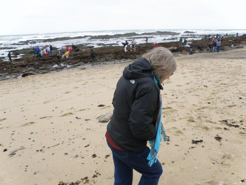 P6182059 Fitzgerald Reserve.JPG